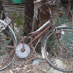 ♨🌅🌄🌅🌄🌈あらゆる廃墟に似合う自転車♨🌅🌄🌅🌄🌈