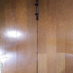 バチコンにも重宝 ティップエギングセット