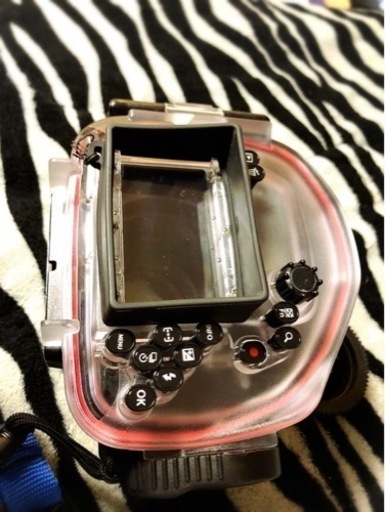 オリンパス1眼レフ＋水中用撮影ケース付き