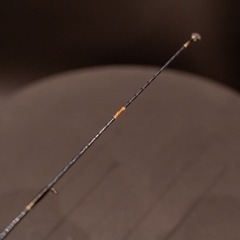 アルテグラ カーディフ62sul