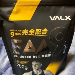 VALX EAA9 プロテイン 未開封