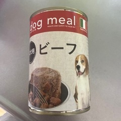 ドックフード🐶