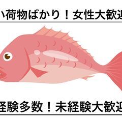 【時給2,000円・日払可】軽貨物ドライバー / 鮮魚・食品配送 / 常温車両 / 定期案件 / 未経験・女性・シニア歓迎 / 葛飾区 - 葛飾区