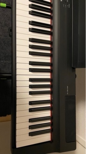 その他 YAMAHA P-125B