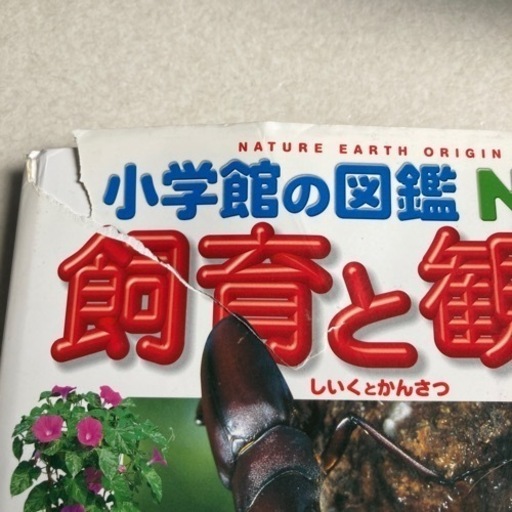 図鑑ずかん5冊 1500 小学館の図鑑neo 学研の図鑑 Suganuma 儀保の参考書の中古あげます 譲ります ジモティーで不用品の処分