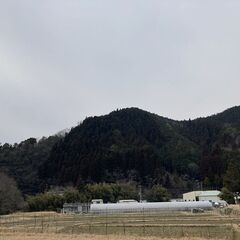 【成約済】山林物件　京都府亀岡市