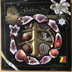 シーシェル 貝殻型 ヘーゼルナッツチョコレート
