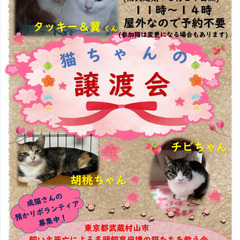 🎈保護猫譲渡会INかたくりの湯🎈3月20日