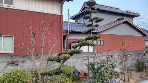門かけサイズ まきの木 門かけサイズ まきの木