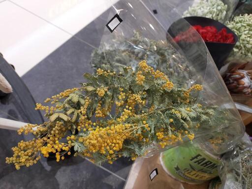 停止中ミモザスワッグドライフラワー いつ来れる 安芸中野のその他の中古あげます 譲ります ジモティーで不用品の処分 停止中ミモザスワッグドライフラワー いつ来れる 安芸中野のその他の中古あげます 譲ります ジモティーで不用品の処分