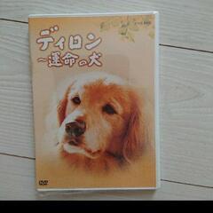 ディロン　運命の犬 DVD 定価10000円以上