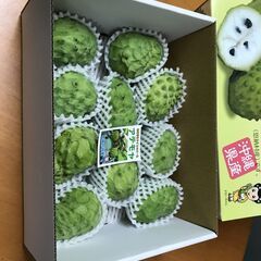 【ネット決済・配送可】沖縄県産アテモヤ2kg（4～7玉前後）