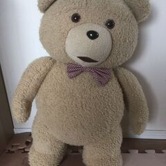 ted（テッド）