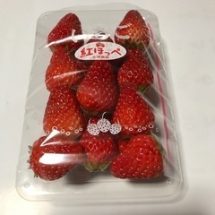 イチゴ　直売(4/10、1パック¥400)  紅ほっぺ（在庫10...