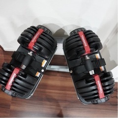 【値下げしました】アジャスタブル　24キロ　２つセット　台付き