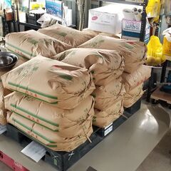 令和３年産　新米キヌヒカリ（玄米）３０KG　新価格（３月１５日付）