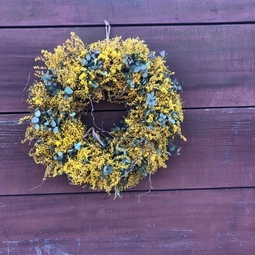 ミモザリース pjd