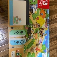 Nintendo Switch あつまれどうぶつの森 ケース等セット