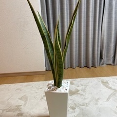 【ネット決済】造花　観葉植物　