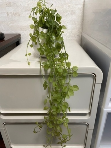ニトリフェイクグリーン観葉植物造花インテリア トトロ 日向庄内の家具の中古あげます 譲ります ジモティーで不用品の処分