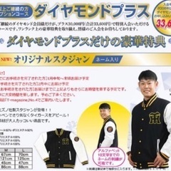 阪神タイガース　スタジャン　L size