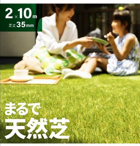 人工芝　新品