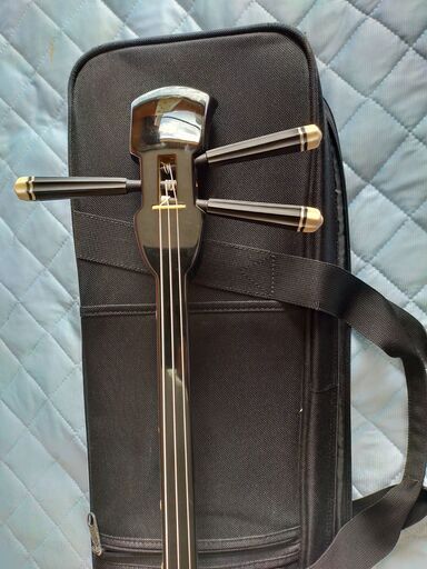 上等人口皮三線⑭