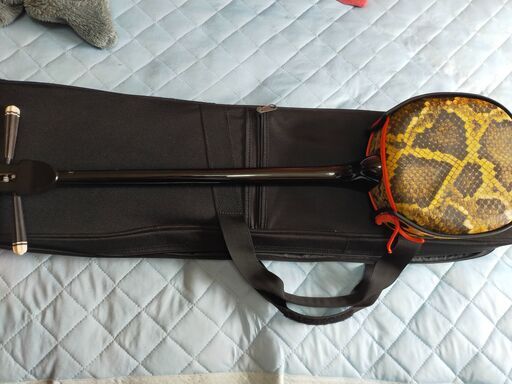 上等人口皮三線⑭