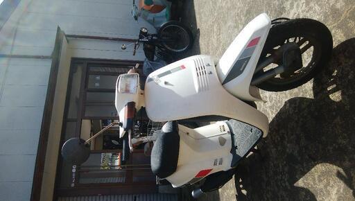 ホンダ　スーパータクト　整備済み　1ヶ月保証
