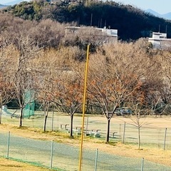 江南市　ソフトボールのメンバー募集の画像