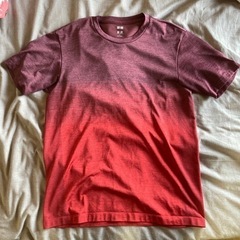 フェデラー選手 錦織選手着用デザイン Tシャツ L 赤