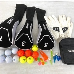 【SOLD OUT！】◆IGNIO イグニオ◆ゴルフクラブ 全10本 セット＋ 純正バッグ付き