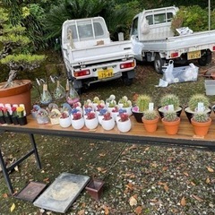 植物の移動販売呼んでください♪