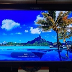 LG OLED B6P OLED55B6P 有機EL TV