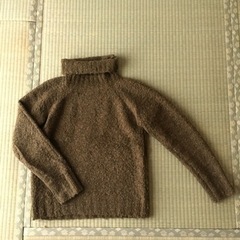 ビリジャン色のセーター
