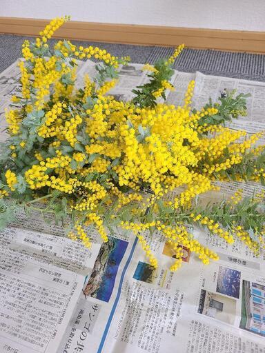 ミモザ生花花束 Torte 加古川のその他の中古あげます 譲ります ジモティーで不用品の処分