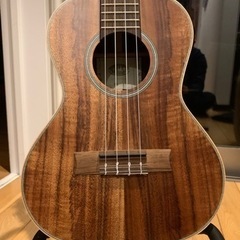 KALA カラ ウクレレ オールソリッド　アカシア単板 テナー KA-SA-T 超美品中古