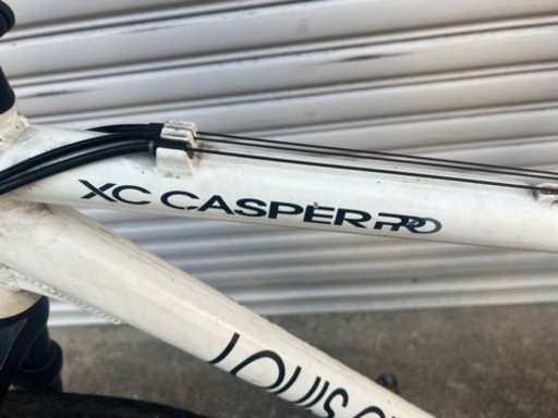 ルイガノマウンテンバイク（タイヤはオンロード）