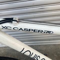 ルイガノマウンテンバイク（タイヤはオンロード）