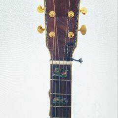 ZENN エレアコ 6弦 中古 17,800円