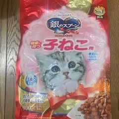 子猫　子ねこ　キャットフード