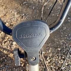 引取り待ち家庭菜園 即使用できます