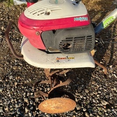 引取り待ち家庭菜園　即使用できます 引取り待ち家庭菜園 即使用できます