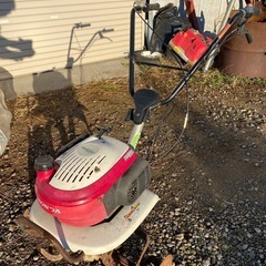 引取り待ち家庭菜園 即使用できます