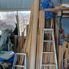 北山杉 床柱 長さ3m 直径15cm