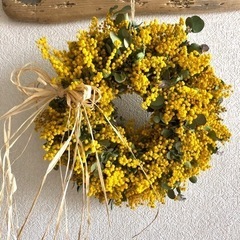 ミモザユーカリリースpd ミモザユーカリリースpd