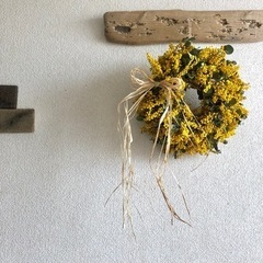 ミモザユーカリリースpd