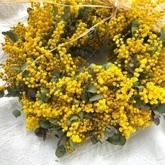 ミモザユーカリリースpd