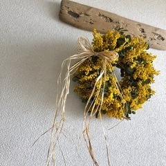 ミモザユーカリリースpd