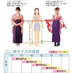 袴・着物・帯 3点セット